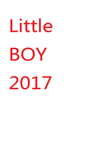 little boy 2017截图4