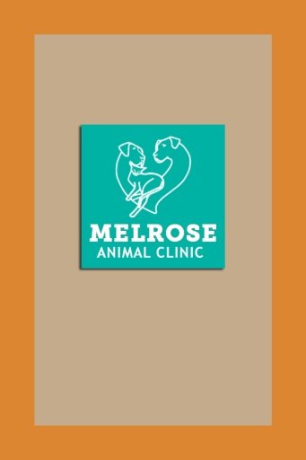 Melrose Vet截图3