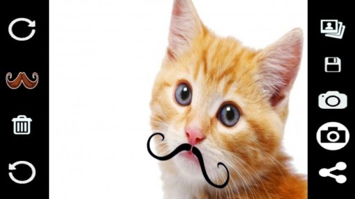 Mustache Camera截图6