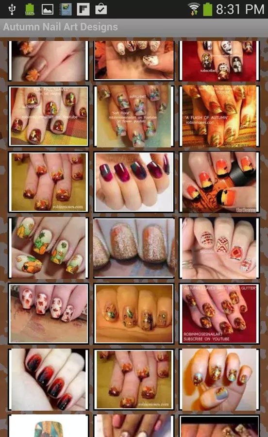 Seasons Nail Art Designs...截图4