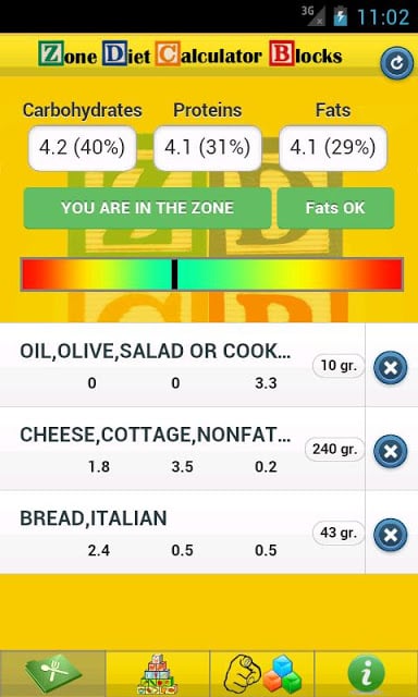 Zone Diet Calculator Blocks LT截图5