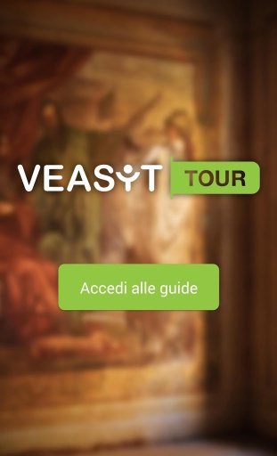 VEASYT Tour Accesible Guide截图5