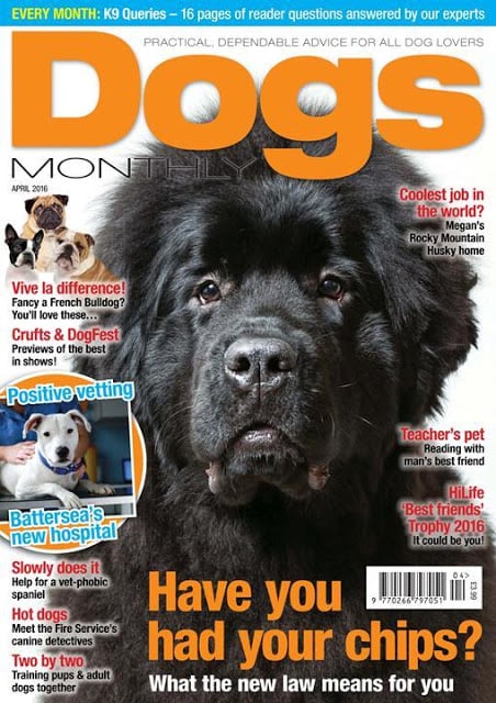 Dogs Monthly Magazine截图2