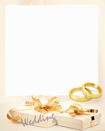 Free Wedding Photo Frames截图4