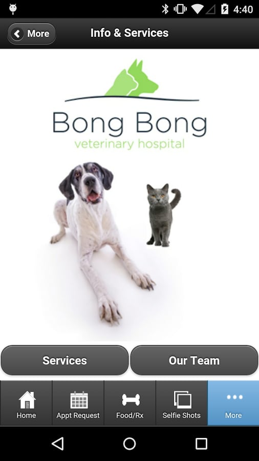 Bong Bong Veterinary Hospital截图4