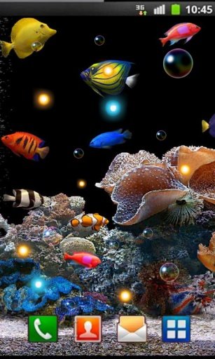 Tropical Fishes Cool HQ LWP截图4