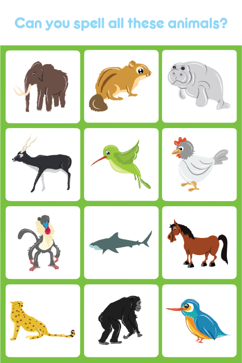 Kids Spell & Learn AnimalsFree截图5