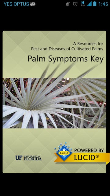 Palm Symptoms Key截图1