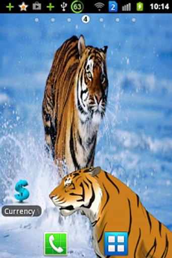 Angry Tiger Magic Touch截图6