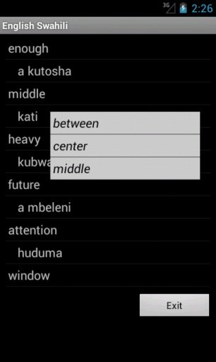 Learn English Swahili截图3