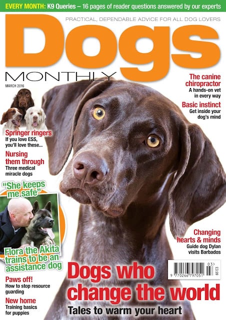 Dogs Monthly Magazine截图8