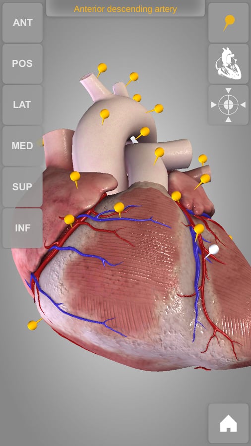 Heart 3D Atlas of Anatomy Preview截图8