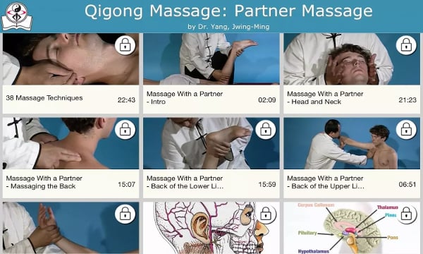 Qigong Massage: Partner截图7