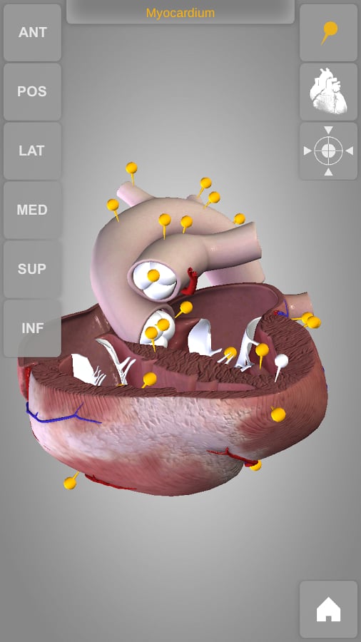 Heart 3D Atlas of Anatomy Preview截图9