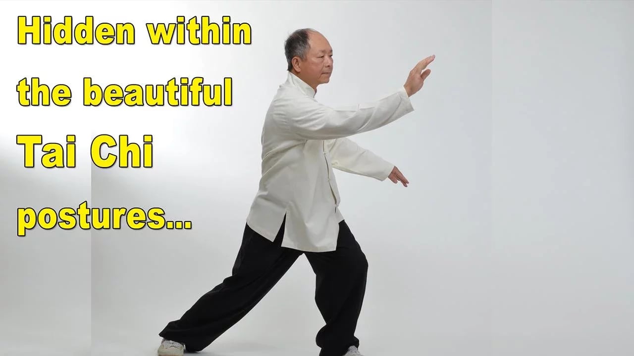 Tai Chi Martial Applicat...截图5