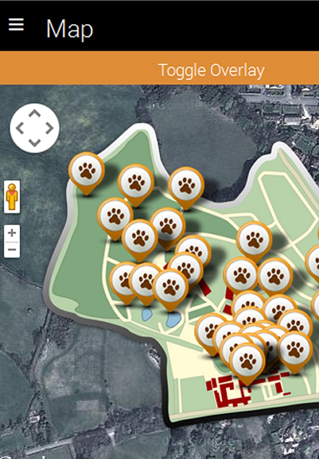 Welsh Mountain Zoo Guide截图2