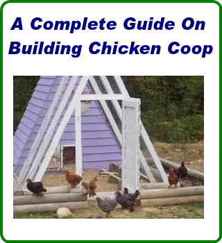 Chicken Coop Plans Guida...截图3