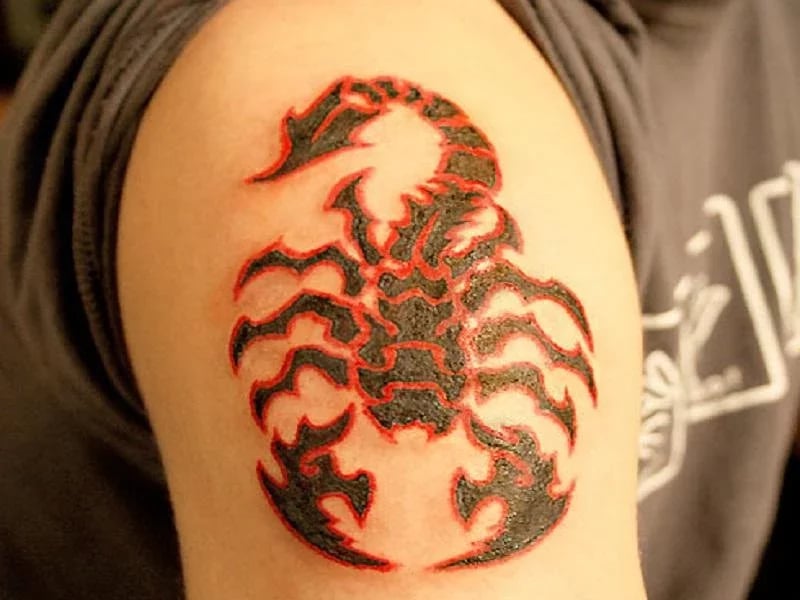 Tattoo Designs -NEW截图2