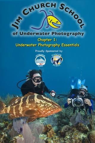 Underwater Basics截图1