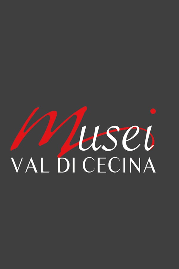 Musei Val di Cecina截图2