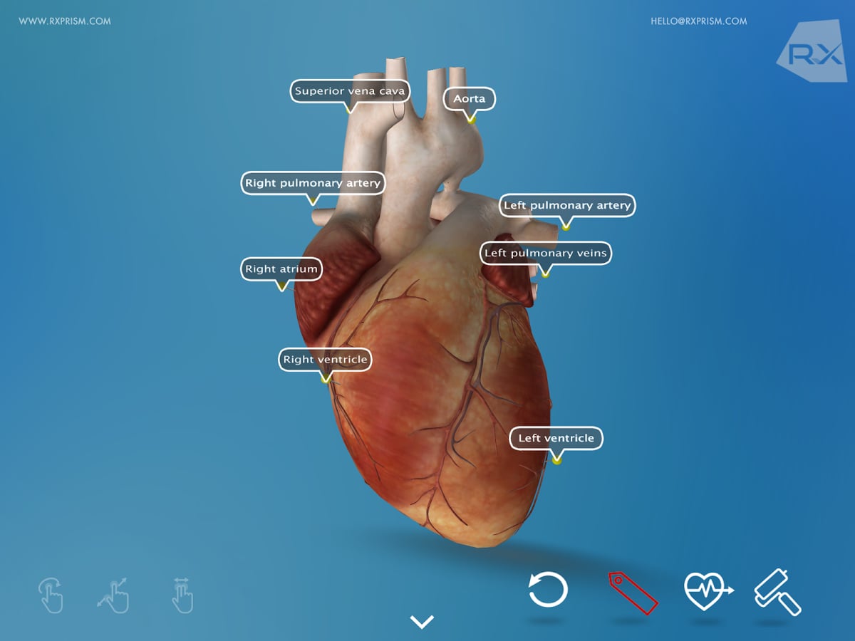 Heart Explore 3D截图3