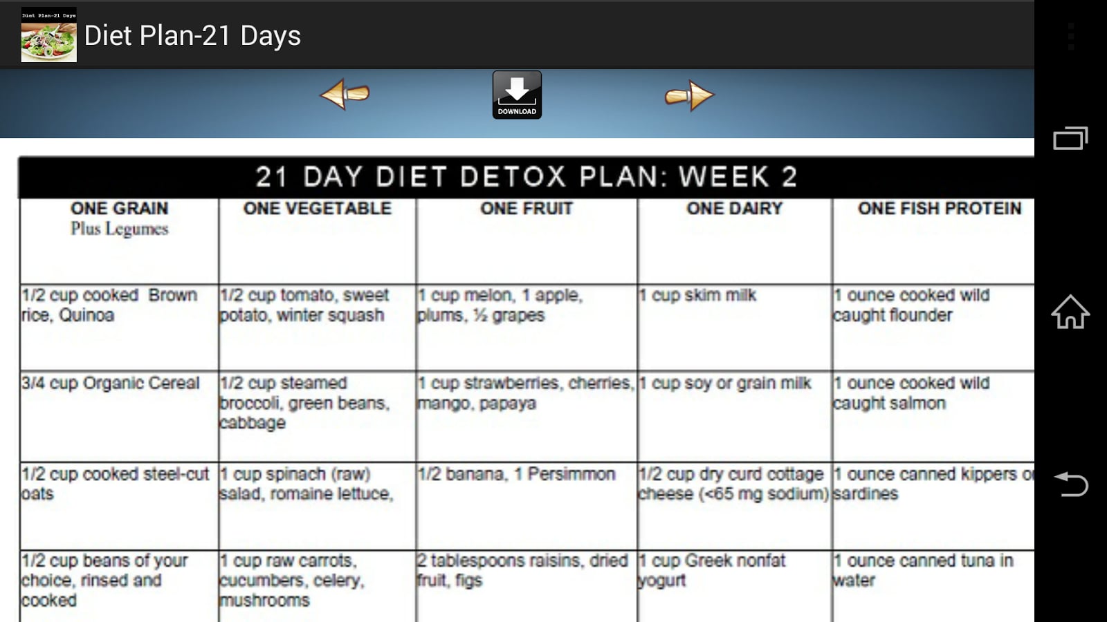 Diet Plan - 21 Days截图1