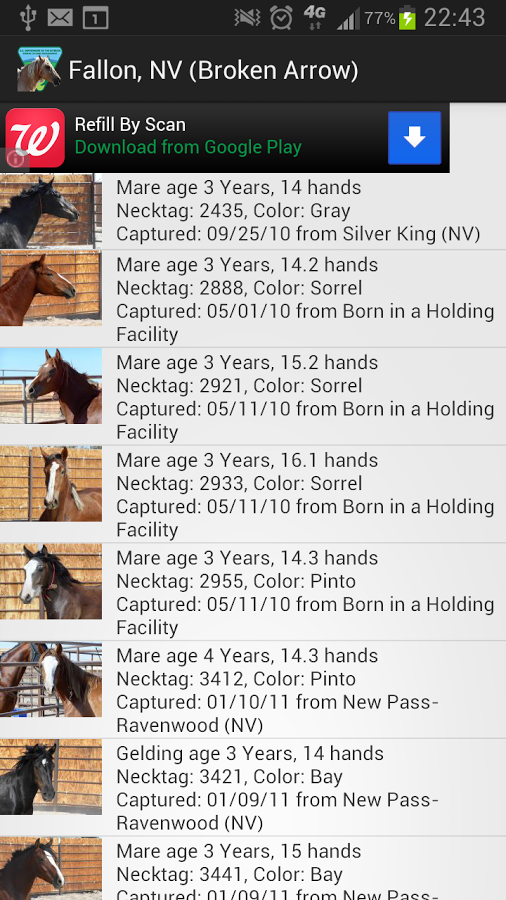 BLM Mustang Adoption Gallery截图1