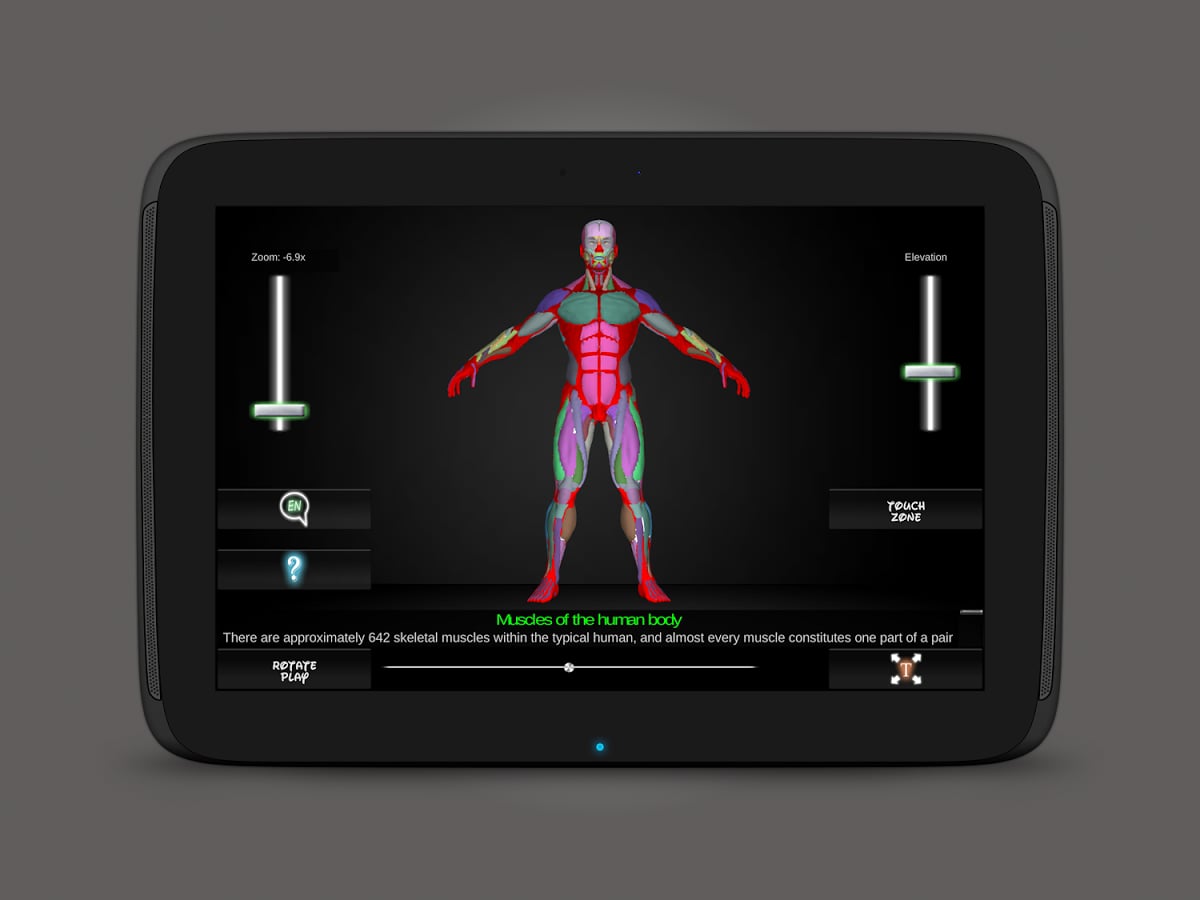 Muscles Anatomy截图2