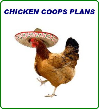 Chicken Coop Plans Guida...截图6