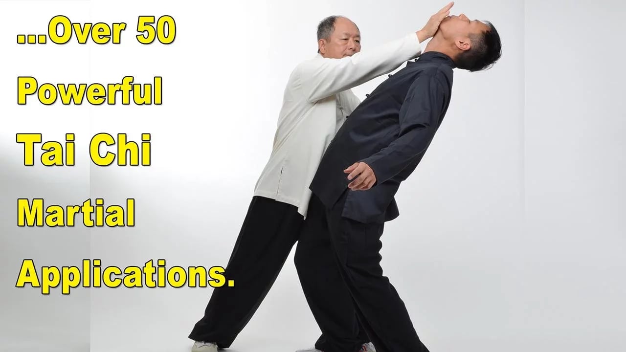 Tai Chi Martial Applicat...截图8