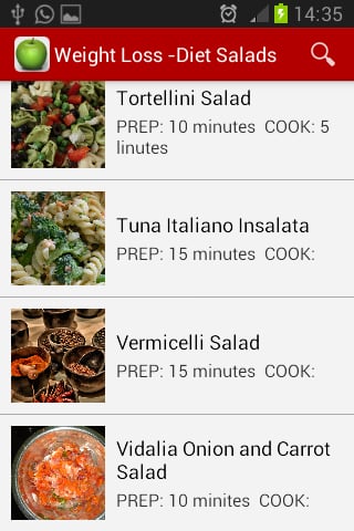 Weight Loss -Diet Salads截图6