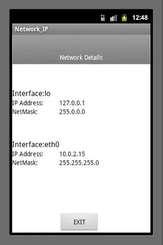 Network IP截图1