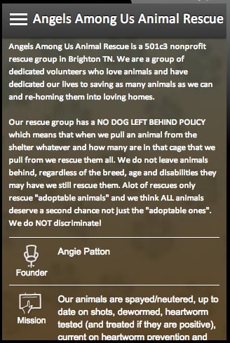 Angels Among Us Animal R...截图1