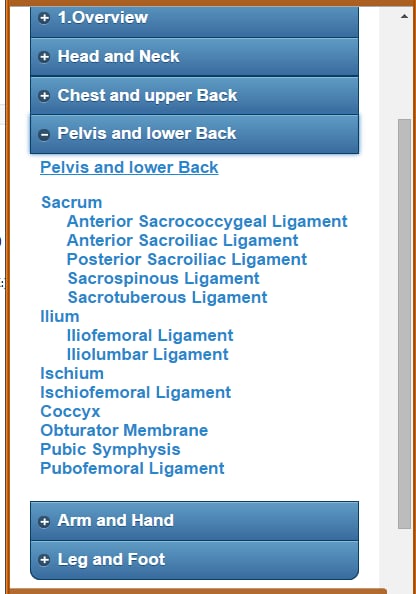 Skeletal System (Anatomy...截图3