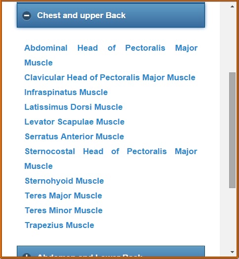 Muscular System(Anatomy)截图5