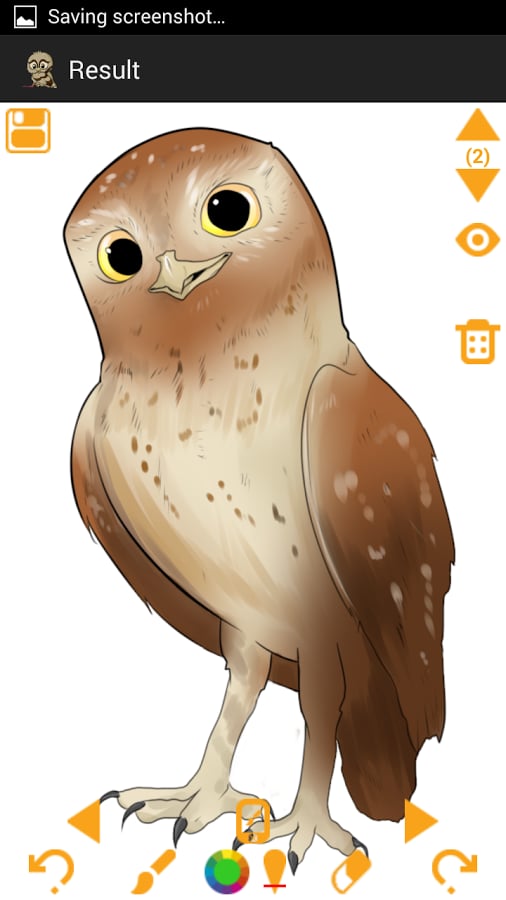 How To Draw Owls &amp; Eagle...截图9