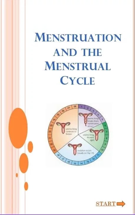 Menstruation Cycle截图1
