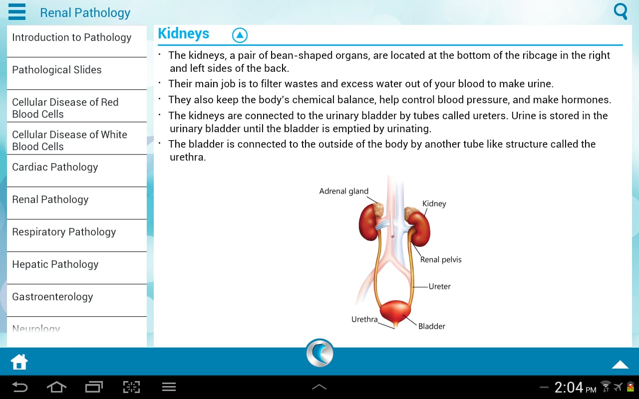 Pathology 101 by WAGmob截图6