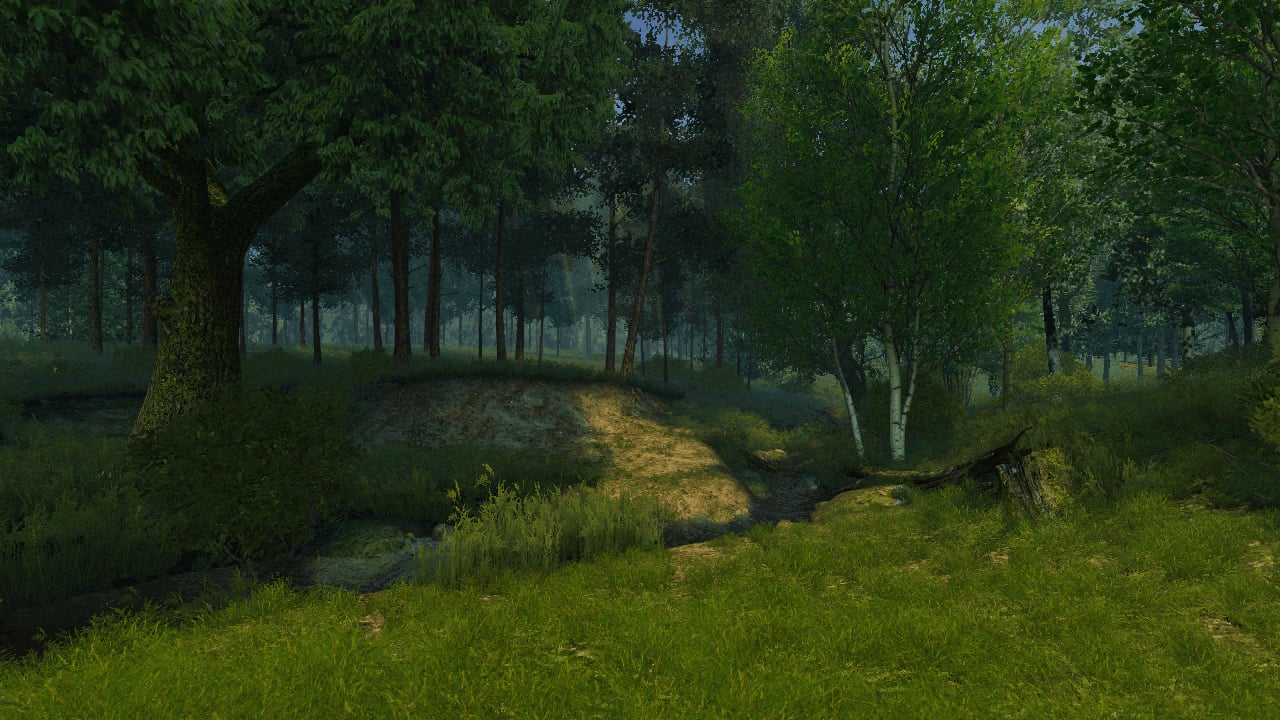 3D Summer Forest截图5