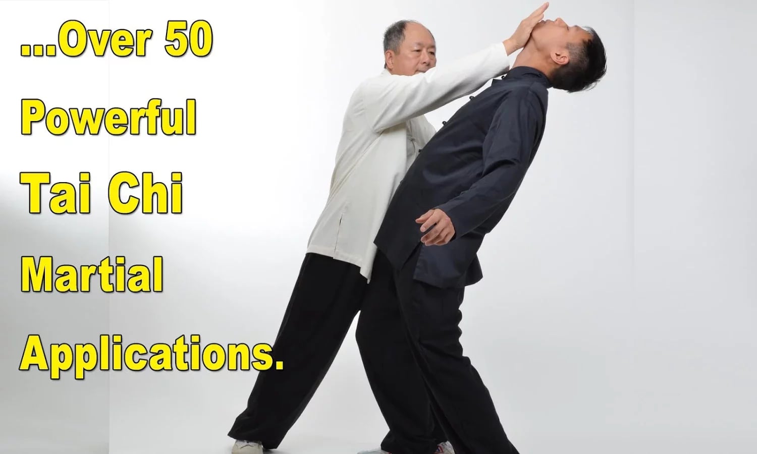 Tai Chi Martial Applicat...截图10