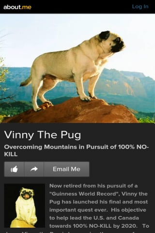 Vinny the Pug - The Hero截图6