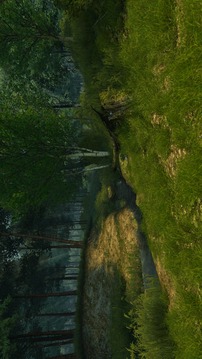 3D Summer Forest截图