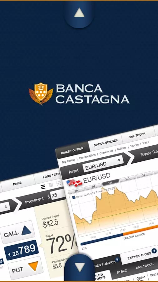 Banca Castagna截图2