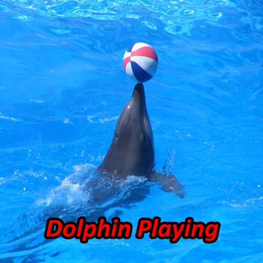 Dolphin Soundboards截图8