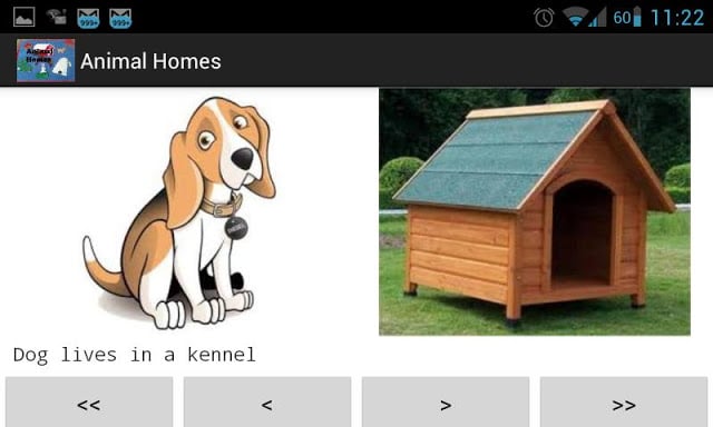 Animal Homes - Preschool截图2