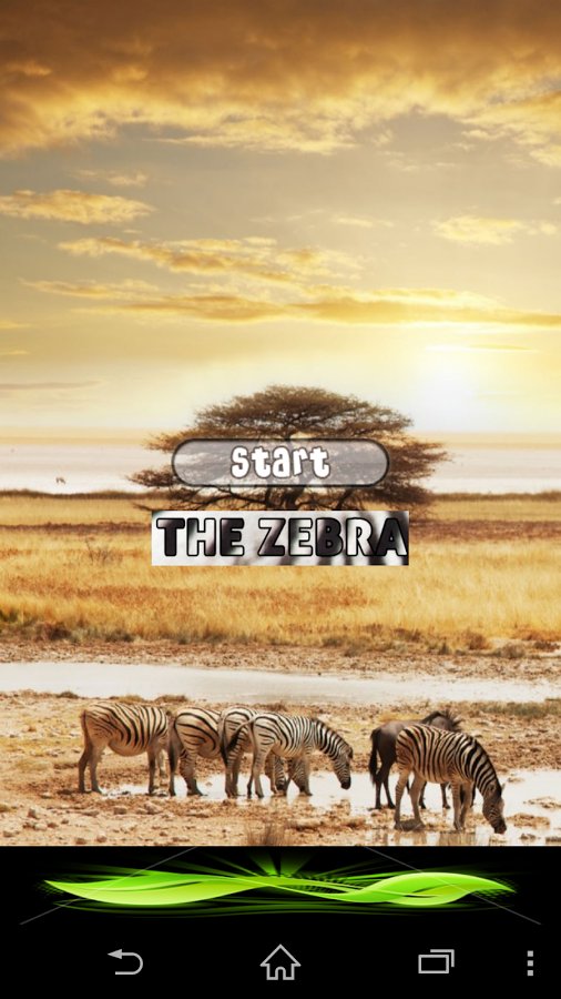 The Zebra Game截图3