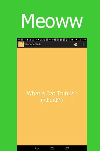 What a Cat Thinks?截图1