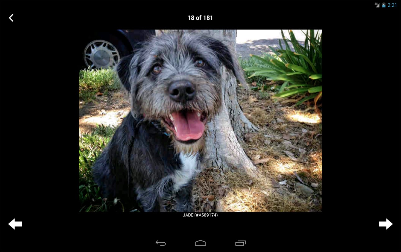 Ventura County Animal Se...截图1