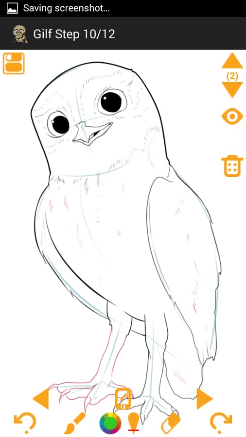 How To Draw Owls &amp; Eagle...截图2