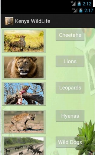 Kenya Wildlife App截图2